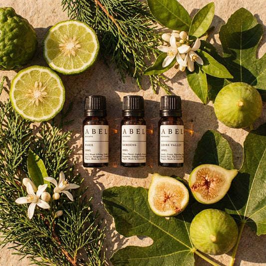 France 10ml Oil Set - Paris, Samoëns & Loire Valley